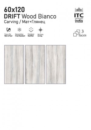 Интерьер коллекции DRIFT Wood 60x120