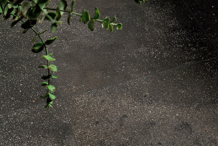 Интерьер коллекции I Cocci