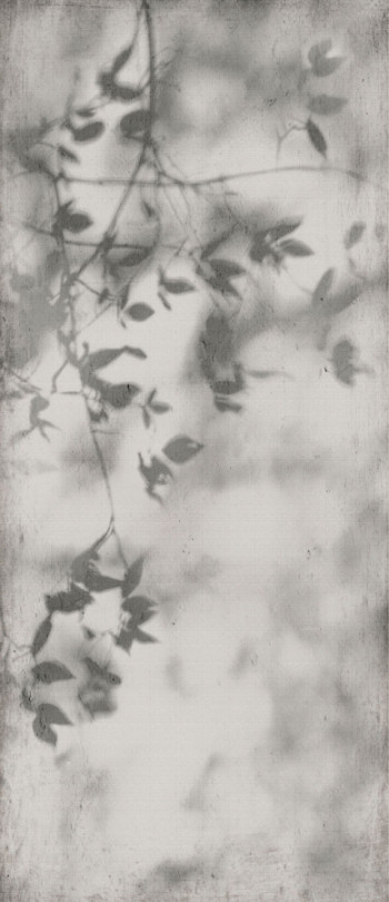 Керамогранит Flaviker 280x120 Art Walls Shadow Nat R матовая 6мм