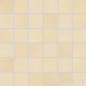 RAKO Мозаика - комплект 30х30 см 5*5 Defile DDM06363