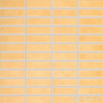 RAKO Мозаика - комплект 30х30 см 8*3 Tulip GDMAJ007