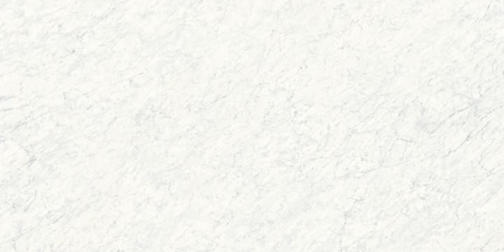 Керамогранит Xlight 250x120 Xlight Premium White Polished полированный под мрамор белый 6мм C221101751