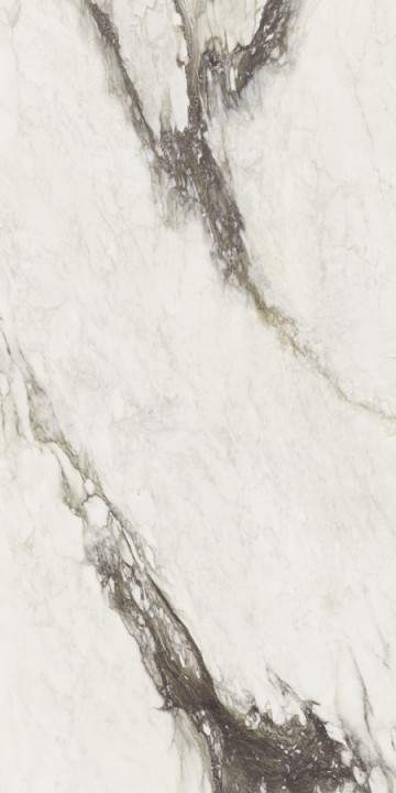 Керамогранит Rex 320x160 Etoile Renoir Glo Ret полированная 6мм