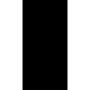 Ava Плитка керамическая ABSOLUTE BLACK LAPP/RETT 120X240