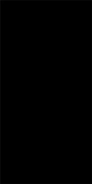 Ava Плитка керамическая ABSOLUTE BLACK LAPP/RETT 120X240