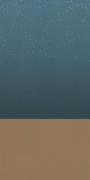 Плитка Abk 320x160 W/s D+ Arizona A матовая 6мм