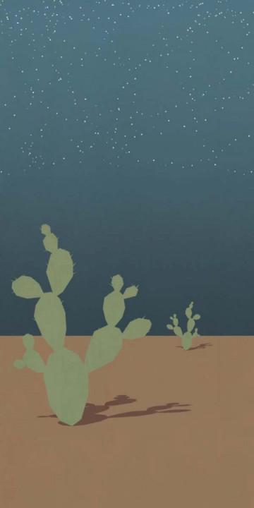 Плитка Abk 320x160 W/s D+ Arizona B матовая 6мм