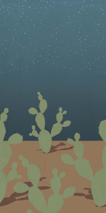 Плитка Abk 320x160 W/s D+ Arizona C матовая 6мм