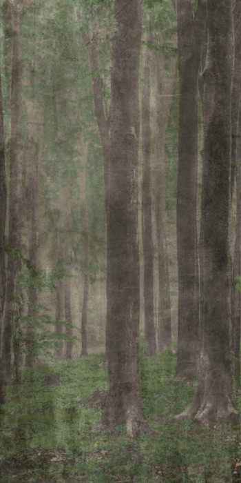 Керамогранит Abk 320x160 W/s D+ Woods A матовая 6мм