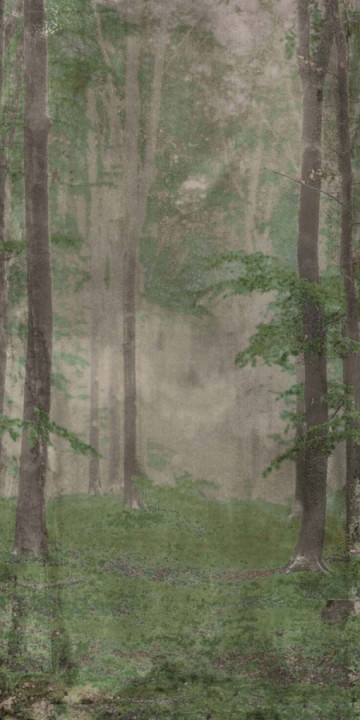 Плитка Abk 320x160 W/s D+ Woods B матовая 6мм