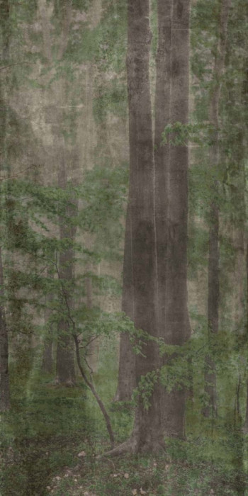 Плитка Abk 320x160 W/s D+ Woods C матовая 6мм