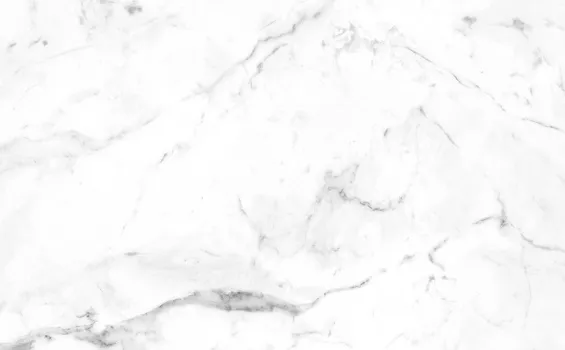  Gres de Aragon 120x60 Плитка Marble Smooth Carrara Blanco