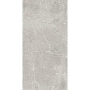 Керамогранит Baldocer 120x60 Concept Pearl 9мм матовая серый