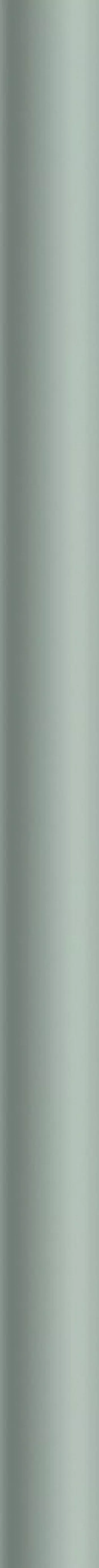 Meissen Бордюр Trendy карандаш зеленый 1.6х25 A-TY1C021-50/N