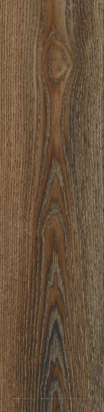 Meissen Керамическая плитка Керамогранит Wild chic темно-коричневый рельеф ректификат 21.8x89.8 16506