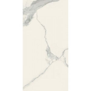 Плитка Rex Ceramiche 120x60 I Classici Statuario Glossy R 746592 глянцевая белый мрамор 9мм