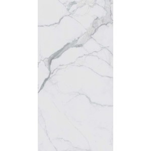 Плитка Rex Ceramiche 320x160 I Classici Statuario Glossy 746607 белый 6мм