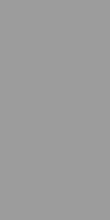 Ceracasa Плитка керамическая 98.2x49.1 Croma Grey