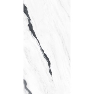 Керамогранит 120x60 Forte Dei Marmi Panda White Сатинированная 610015000656 Атлас Конкорд