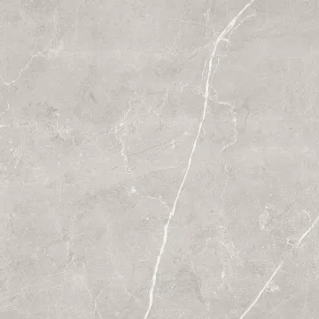 Плитка Laparet 60x60 светло-серый обрезной SG645120R Scandy матовая глазурованная