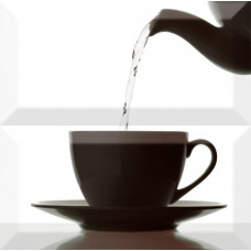 Плитка Absolut keramika декор 20x20 Composicion Japan Tea 02 Monocolor Biselado глянцевая