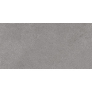 Плитка Эстима керамогранит LN02/NS_R9/60x120x10R/GW неполированный серый