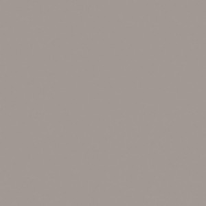 Плитка Эстима керамогранит RW03/NS_R9/60x60x10R/UC неполированный серый