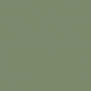 Плитка Эстима керамогранит RW06/NS_R9/60x60x10R/UC неполированный зеленый