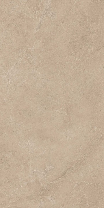 Плитка керамогранит 120x60 Ametis Exotica Stone EXS303 71949 матовая 9мм