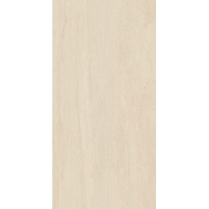 Плитка керамогранит 120x60 Ametis Exotica Stone EXS302 71951 матовая 9мм