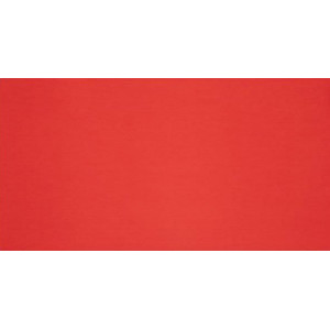 Плитка Rocersa 59x32 Rojo Balance матовая