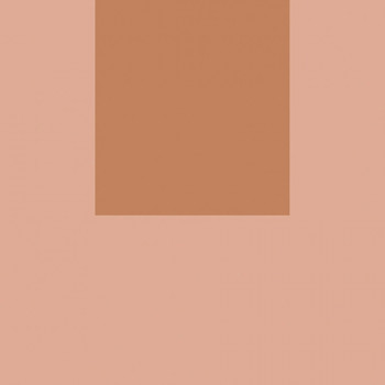 Керамогранит 20.5x20.5 Italian Landscape Firenze_B ILFI20B Fioranese