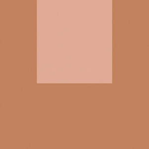 Керамогранит 20.5x20.5 Italian Landscape Firenze_D ILFI20D Fioranese