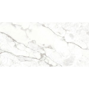 Плитка Ocean Ceramic INDIA NEW керамогранит 120x60 Breccia Bianco India матовая