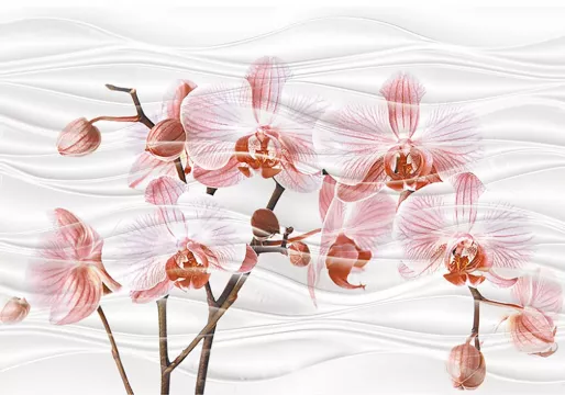 Axima Керамическая плитка Вставка Орхидея D