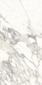 Керамогранит 120x60 Marmi Classici ARABESCATO CLASSICO Soft Ret 8мм Ariostea