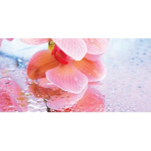 Плитка 50x25 Хлоя декор стеклянный Chloe многоцветный В глянцевая розовый Belleza