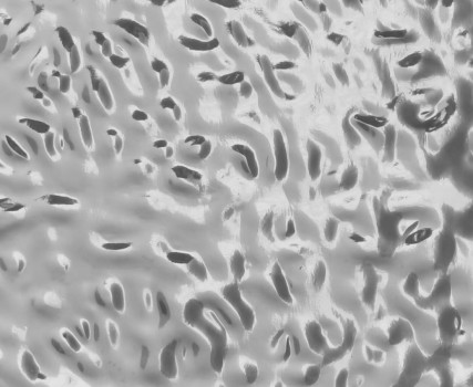 Стеновая панель Bonaparte 280x110 Relief silver QY250801E