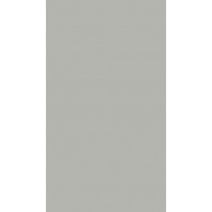 Стеновая панель Bonaparte 280x108 Paint Light Grey connect QY250407M