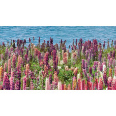 Плитка Ceradim 45x25 декор Dec Flora КВС16Flora Forest глянцевая глазурованная