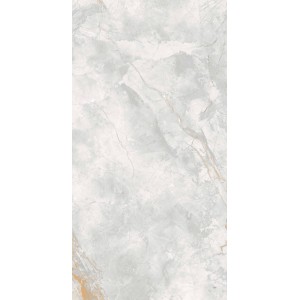 Керамогранит A-Ceramica 120x60 Elison 176687 Polished 8мм полированная серый