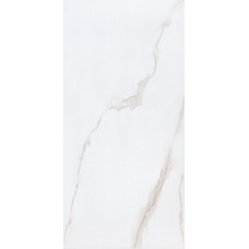 Керамогранит Sina 120x60 Ramila Polish 2483 глянцевая белый