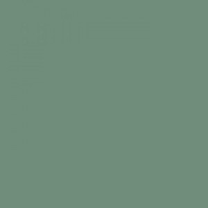 Керамогранит TopCer 10x10 напольная L4428-1Ch Light Green 28 - Loose матовая зеленый