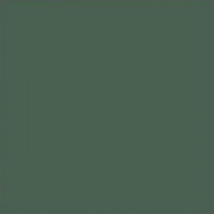 Керамогранит TopCer 10x10 напольная L4418-1Ch Green 18 - Loose матовая зеленый