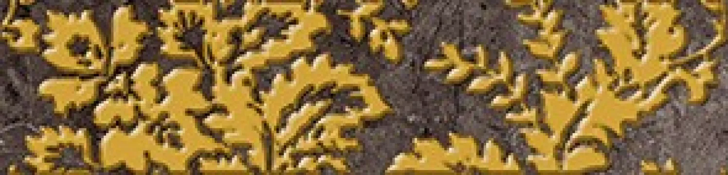 Плитка Cersanit 25x6 бордюр коричневый DG1C111 Digio глянцевая глазурованная