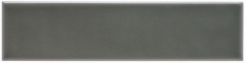 Плитка настенная 19.8x4.9 Studio Liso Eucalyptus ADST1038 Adex