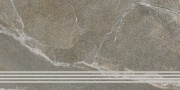 Плитка LB-Ceramics 60x30 Диккенс ступень бежево-коричневый 6860-0072 матовая коричневый