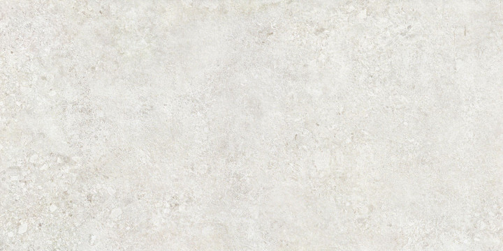 NT Ceramic Керамогранит Terrazzo TZ612NTT9501L 120x60 лаппатированный