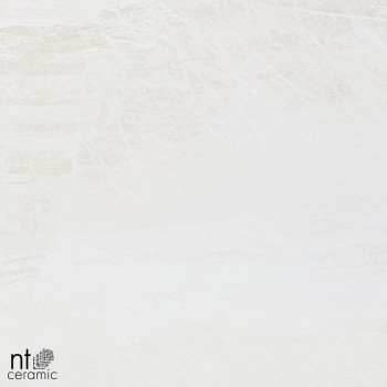 Керамогранит NT Ceramic Zeus ZS6NTT9701M 120x60 матовый