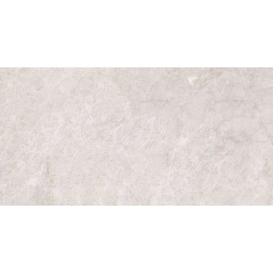 Плитка настенная  Тянь-Шань Керамик 60x30 Светло-серый TP3688A глянцевая